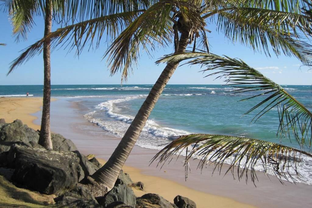 Comfortable And Affordable Deal Close To Beach And Rainforest Río Grande Eksteriør bilde